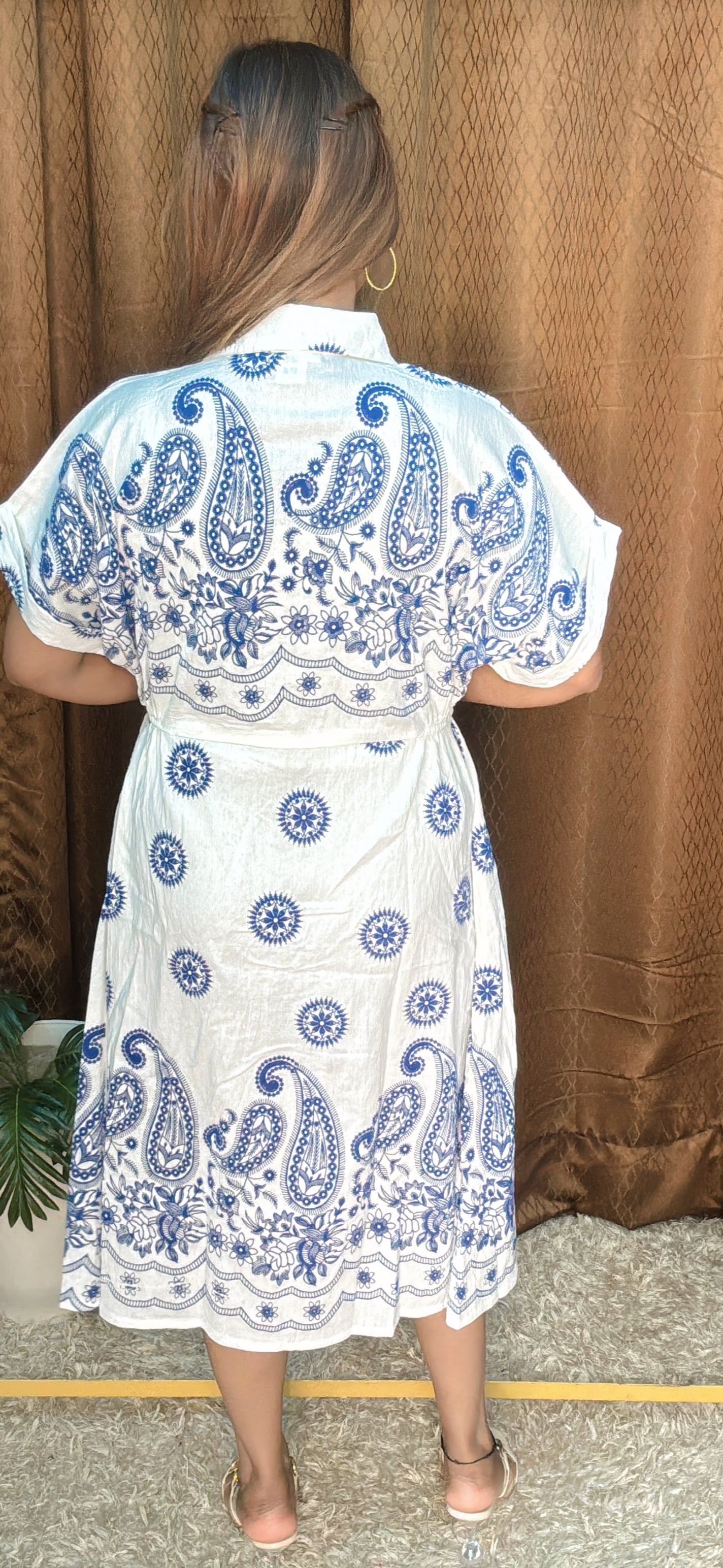 Elegant Summer Friendly Paisley Print A-Line Dress